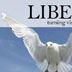 Liberty Campaign